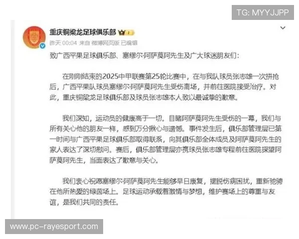 渝超联赛冲突后续：球员袭击裁判头部遭禁赛5年